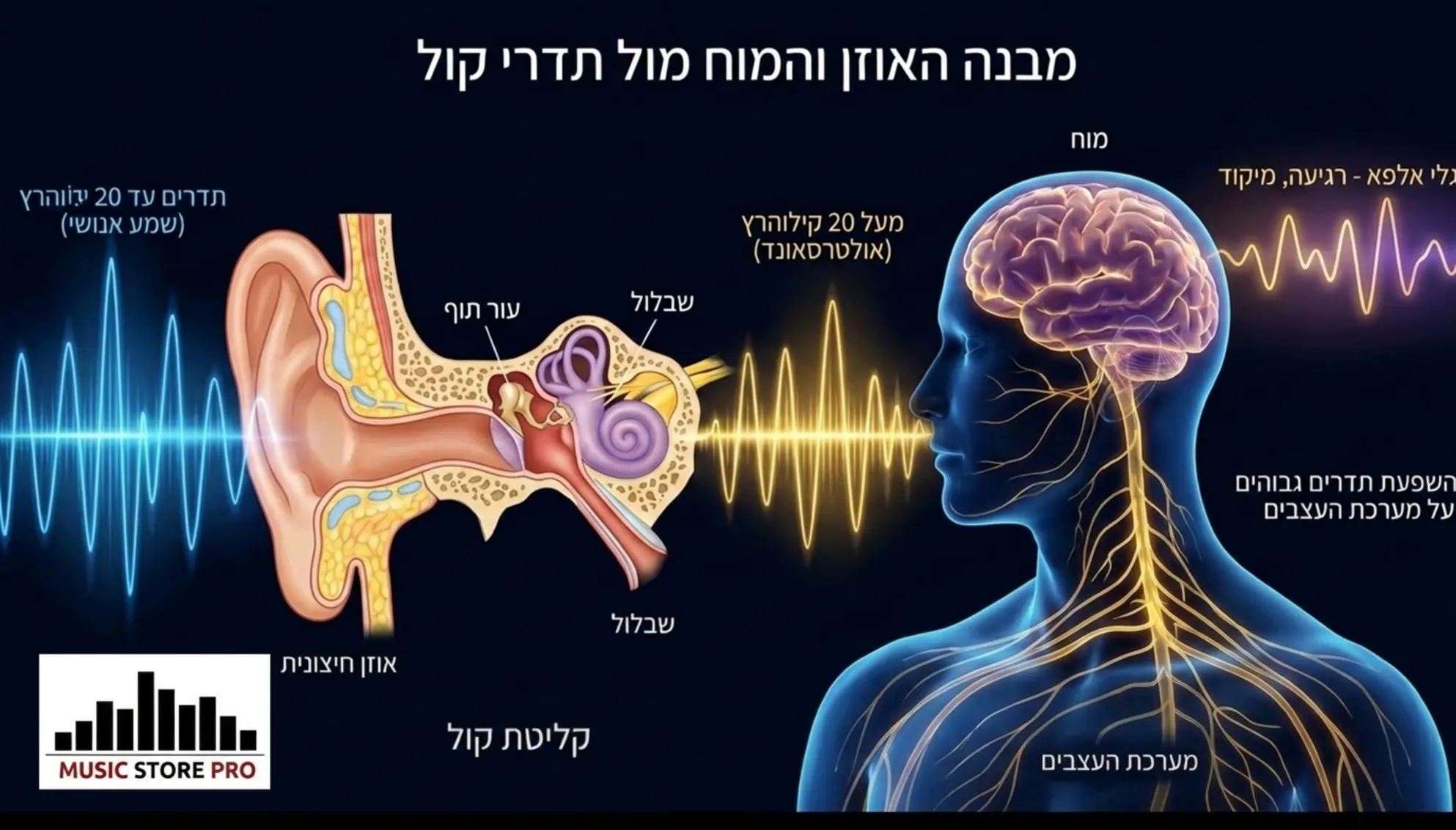 Super Tweeter: האם אנחנו באמת שומעים מעל 20kHz?